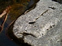 2007-03-01 022.JPG